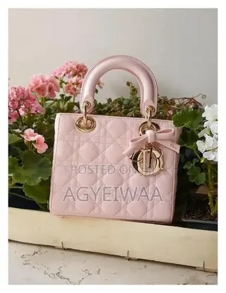 Ladies Handbag