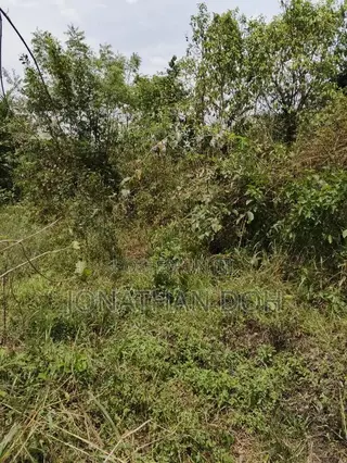 Farm Land for Sale at Juapong Area