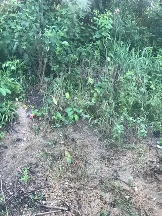 Half Plot Going for Cool Price
