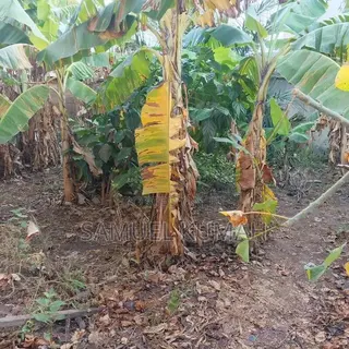 Land for Sale at New Legon 120 X 35