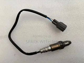Oxygen Sensor