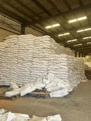 50 Kg Yellow Maize