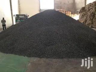 Griffonia Seeds