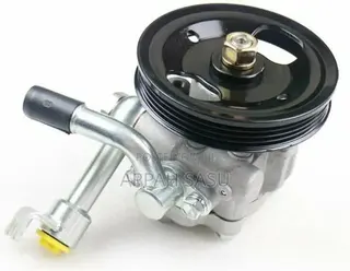 Power Steering Pumps