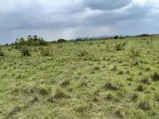 Invest in Shai Hills Lands, Wise Choice to Secure the Future