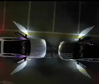 BMW Door Logo