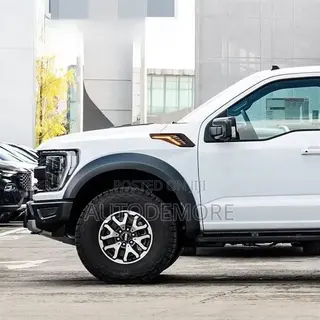 F-150 Raptor 2022 Fender Molding Led Type