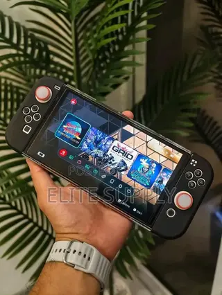 Nintendo Limited Edition