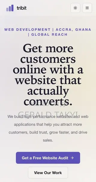 Website/Software Developer