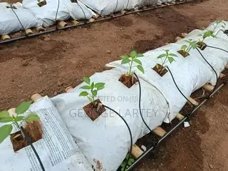 Home Garden. Services