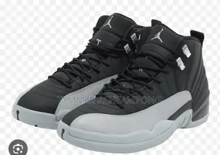 Jordan 12 Black and Ash