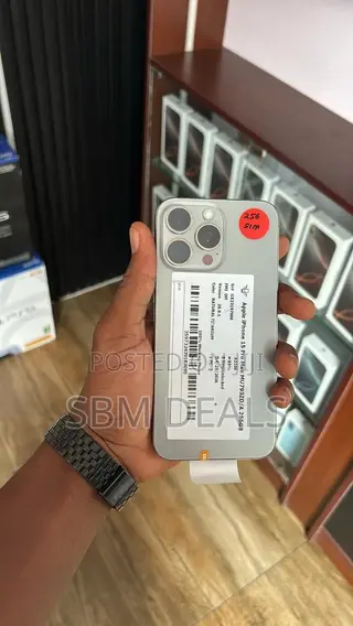 Apple iPhone 15 Pro Max 256 GB Silver