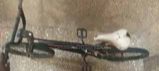 BMX Bike for Sale
