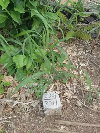 Two Plots of Land for Sale