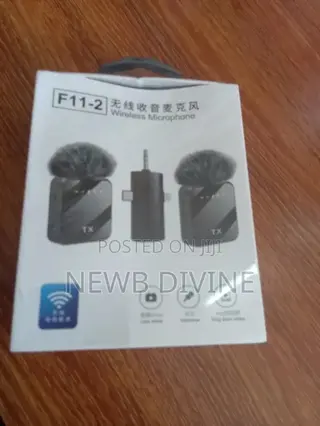 Phone Microphone