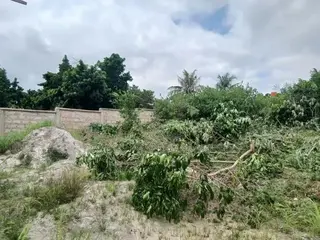 Adarko Jachie Full Plot of Land