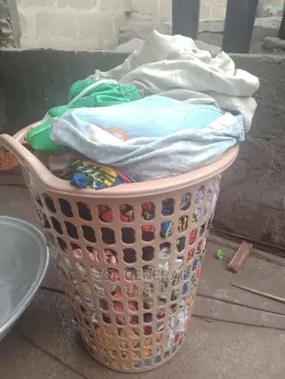 Door-to-Door Cleaning Service