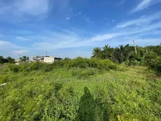 Dawheyna-Afienya Road