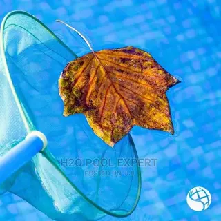 Pool Cleaning