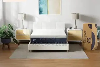 Sealy Orthopedic Mattresses 12 Inches Queen Size From USA