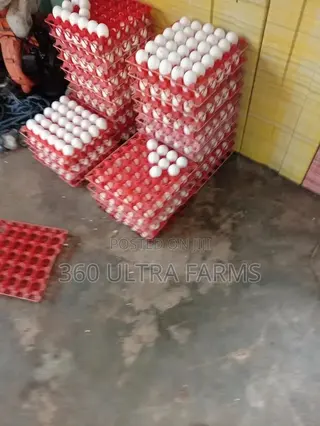 Plastic Egg Crate