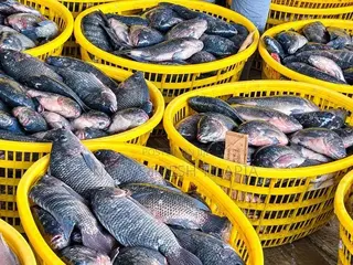 Fresh Tilapia