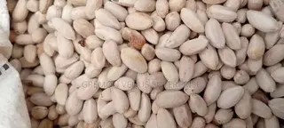 Neem Seeds
