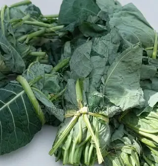 Fresh Kontomire
