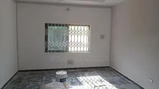 Professional Painter
