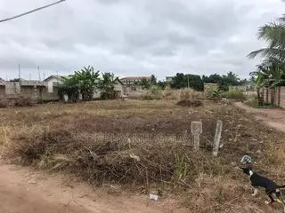 2 Plots of Land