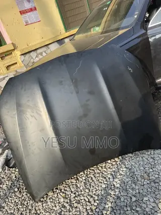 C300 (206) 2022 Bonnet