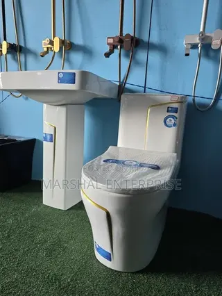 Design Wc With Hand-wash Basin