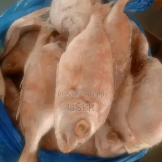 Red Fish 10kg Box