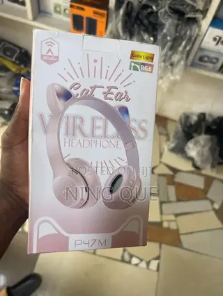 Cat Headphone