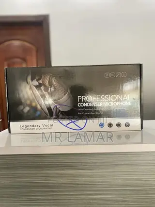Professional Microphone Condenser