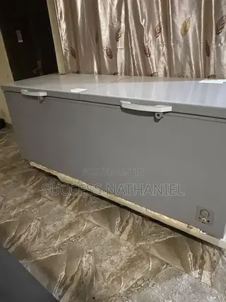 Hisense 725L Double Door Chest Freezer