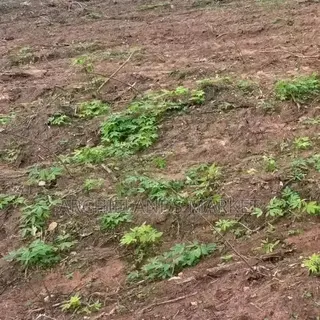 Own Land in a Fast-Growing Location