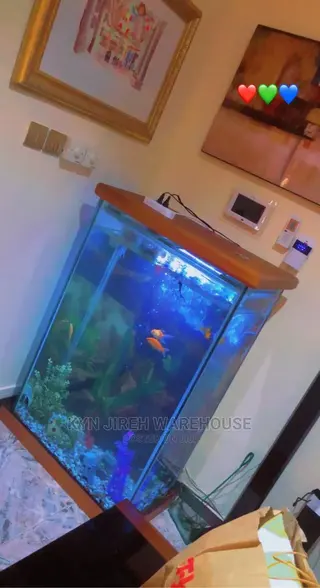 Mr. Scott Aquarium With Fishes