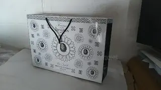 Carry Your Style