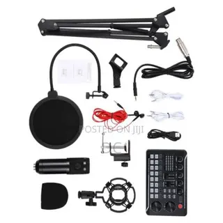 Professional Condenser Microphone Recording Setup