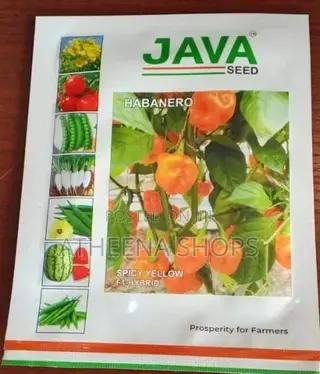 Habanero Yellow Seeds (,Super Hot 50grams)