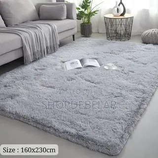 Fluffy Carpet Rugs