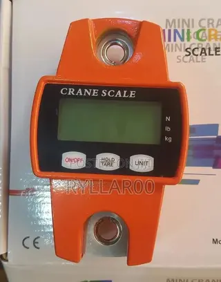 Mini-Crane Scale 300kg