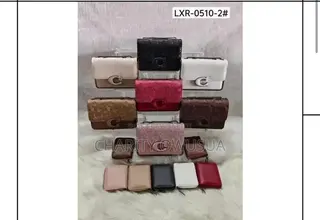 Ladies Hand Bag