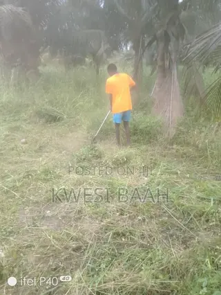 Domestic and Large-Scale Weeding,Grass Cutting