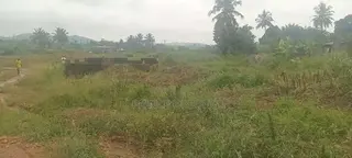 4 Plots of Land Available for Sale at Kofi Kwei