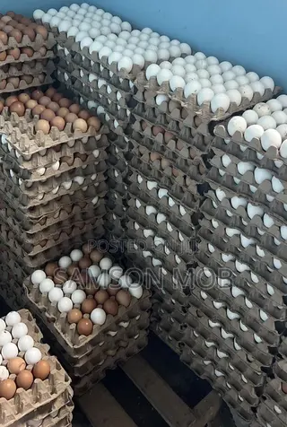 Fresh Egg Distribution