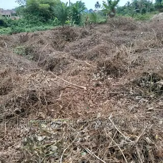 Half Plot for Sale at Mpintsin Plot Enterprise
