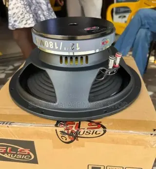 GLS Music 12-Inch 600watt Pair of Naked Speaker