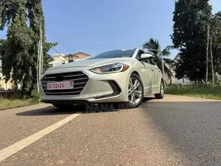 Hyundai Elantra 2017 Gray